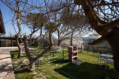 Agriturismo San Gregorio - Lola