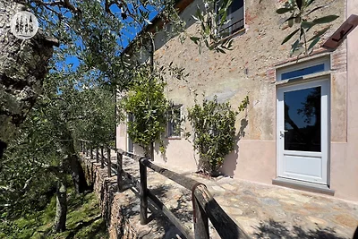 Casale Uliveto