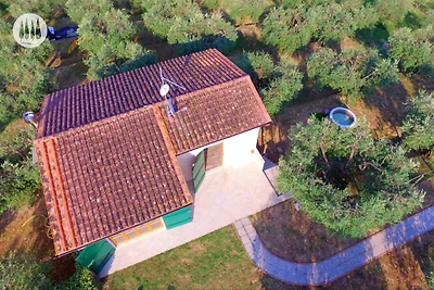 Haus Montecarlo - Tramonto