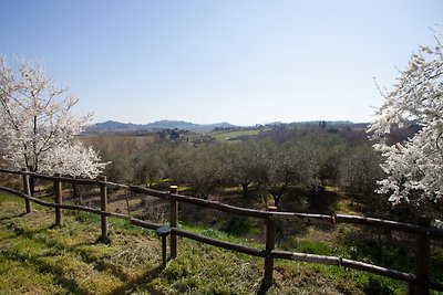 Agriturismo San Gregorio - Lola