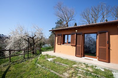 Agriturismo San Gregorio - Lola