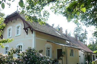 Absoluut aanbevolen