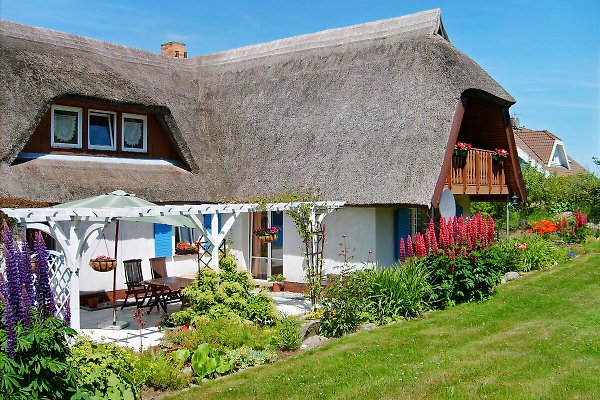 Ferienwohnung Middelhagen