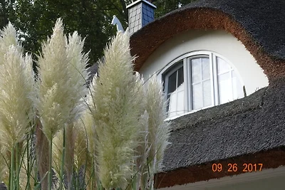 Casa Reeth Lucia