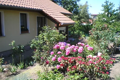 Casa di vacanza Schmitz