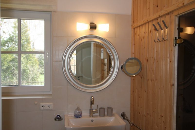 Salle de douche avec sauna et douche à effet pluie