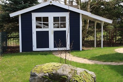 Reethus Blue Peter