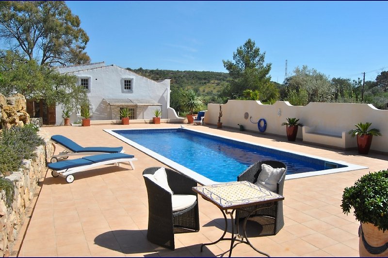 Ninho das Andorinhas