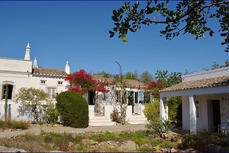 Vakantiehuis Fuseta
