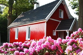 Ferienhaus Ems Idylle
