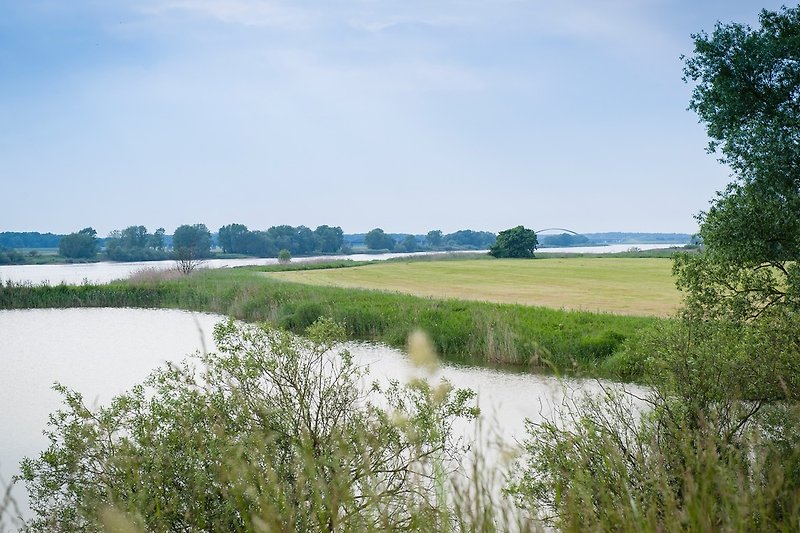 Die Elbe in Richtung Niedersachsen