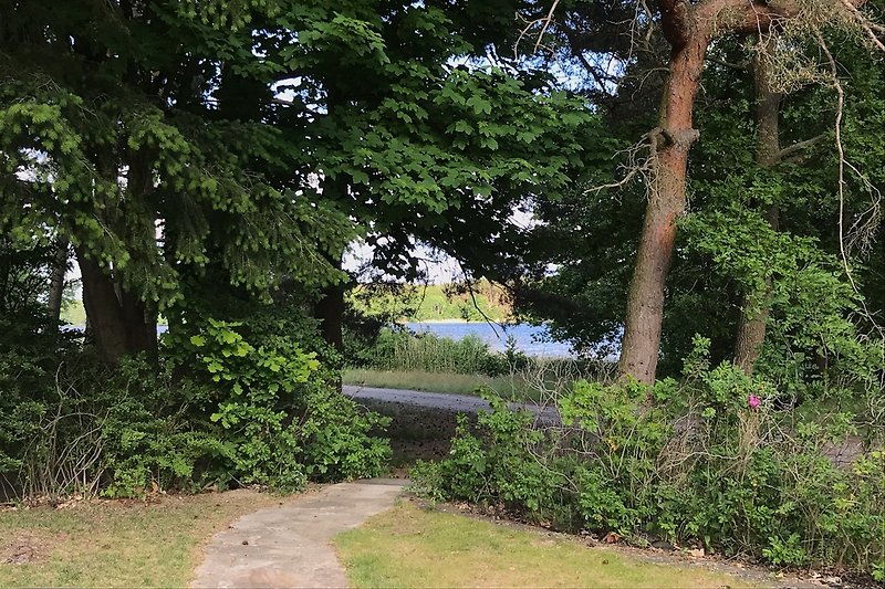 Blick auf den See 