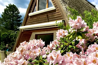 Finn cottage uitzicht op het meer