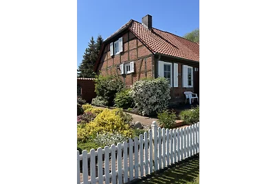 Elbwiesenhaus an der Elbe