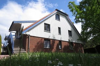 Fewo Sonnenschein Papillon 18-8