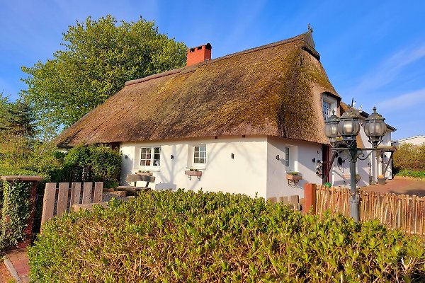 Ferienhaus Heringsdorf