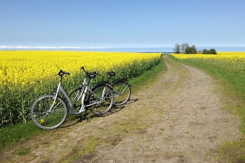 oder eine Radtour um den Schweriner See machen.