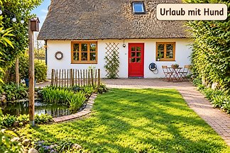 Urlaub unterm Reetdach