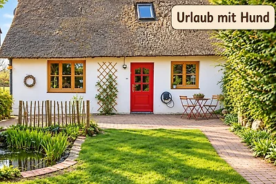 Wundervolle Insel-Reetkate mit Hund