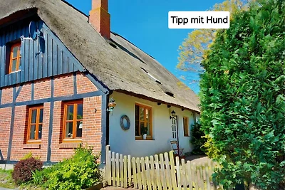 Wundervolle Insel-Reetkate mit Hund