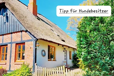 Wundervolle Insel-Reetkate mit Hund