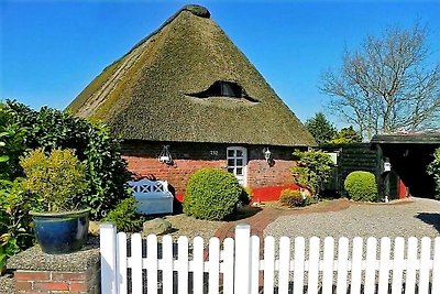 Charming stylish thatched cottage