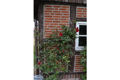 Altes Heuerhaus am See