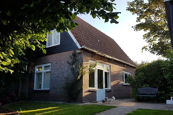 Ferienhaus Domburg