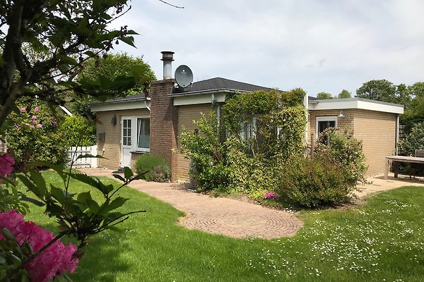 Ferienhaus Renesse