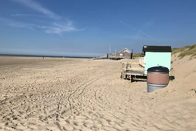 Strandmeeuw Renesse
