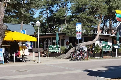 Dünenkieker
