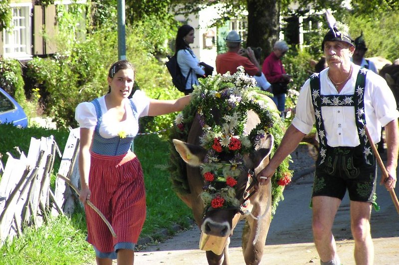 Tradition: Einer der legendären Viehscheide in Oberstaufen und der Umgebung