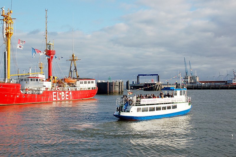 Hafenrundfahrt sowie außerdem mehrstündige Schifffahrt zu den Seehundsbänken vor der Küste Cuxhavens: Beide Fahrten für unsere Gäste gratis!