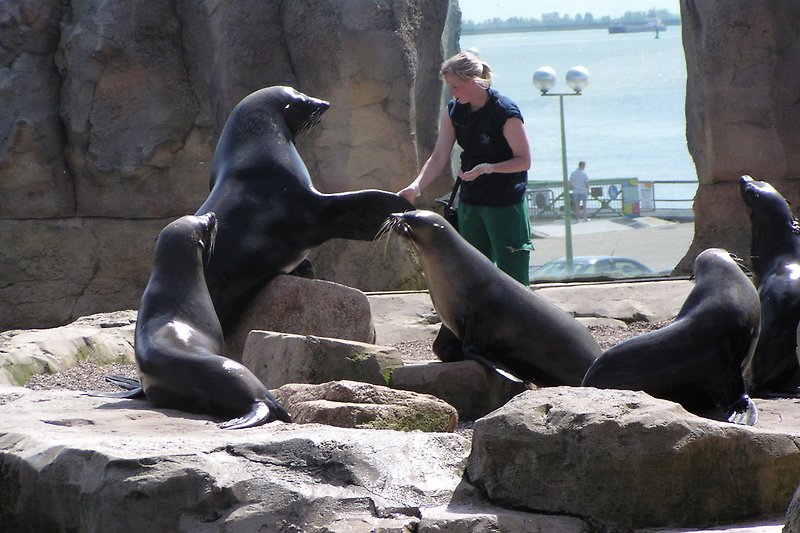 Der aus dem TV bekannte Zoo am Meer in Bremerhaven