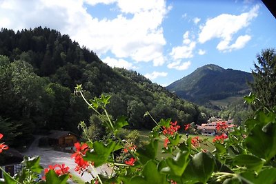 Vakantiewoning in de Bergschlössl App28