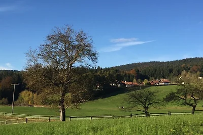 Ferienwohnung Hauzenberg Blick