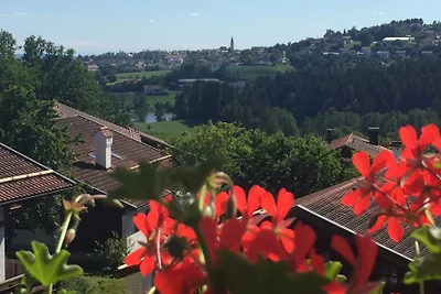 Ferienwohnung Waldblick Hauzenberg