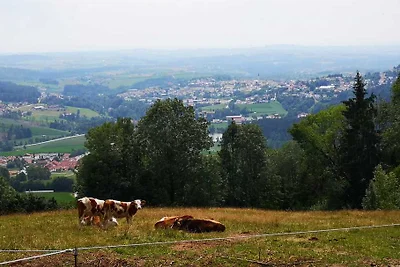 Ferienwohnung Waldblick Hauzenberg