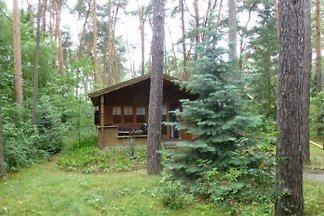 Blockhäuser Fischerheide