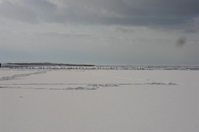 Die Nordsee im Winter