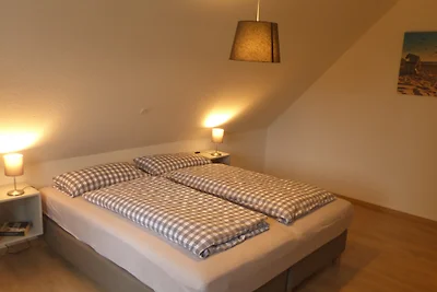 Nuova apertura: casa di classe a schiera