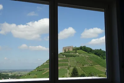 Visione