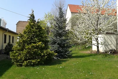 Ferienhaus zentral und ruhig