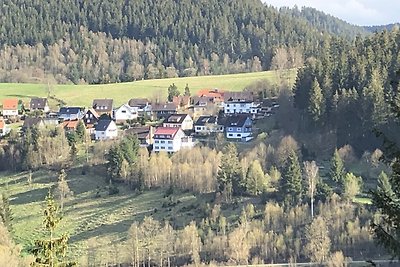 Tolle Ferienwohnung am Waldrand