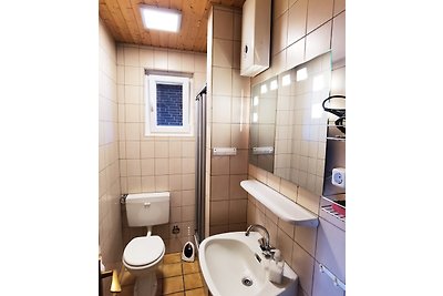Friesenhaus Fewo SEELÖWE