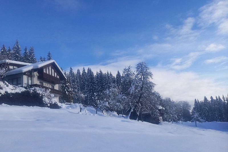 Ferienhaus Waldhof im Winter