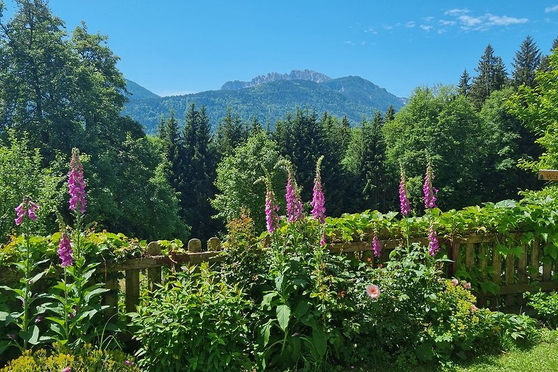 the garden of the apartmenthouse Waldhof with view to the mountains