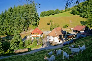 Steinmühle - Ferienwohnung