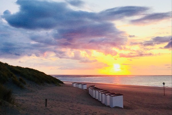 Ferienhaus Renesse