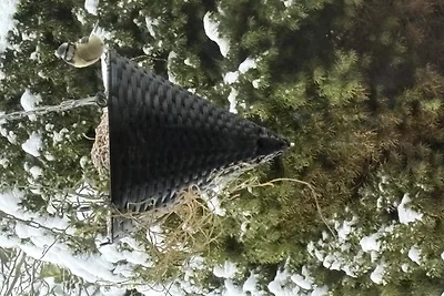 Ferienhaus im Luftkurorten Xanten